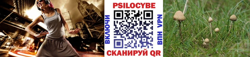Псилоцибиновые грибы MAGIC MUSHROOMS  что такое   Зима 