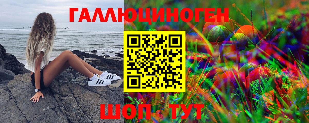 Галлюциногенные грибы Magic Shrooms Зима