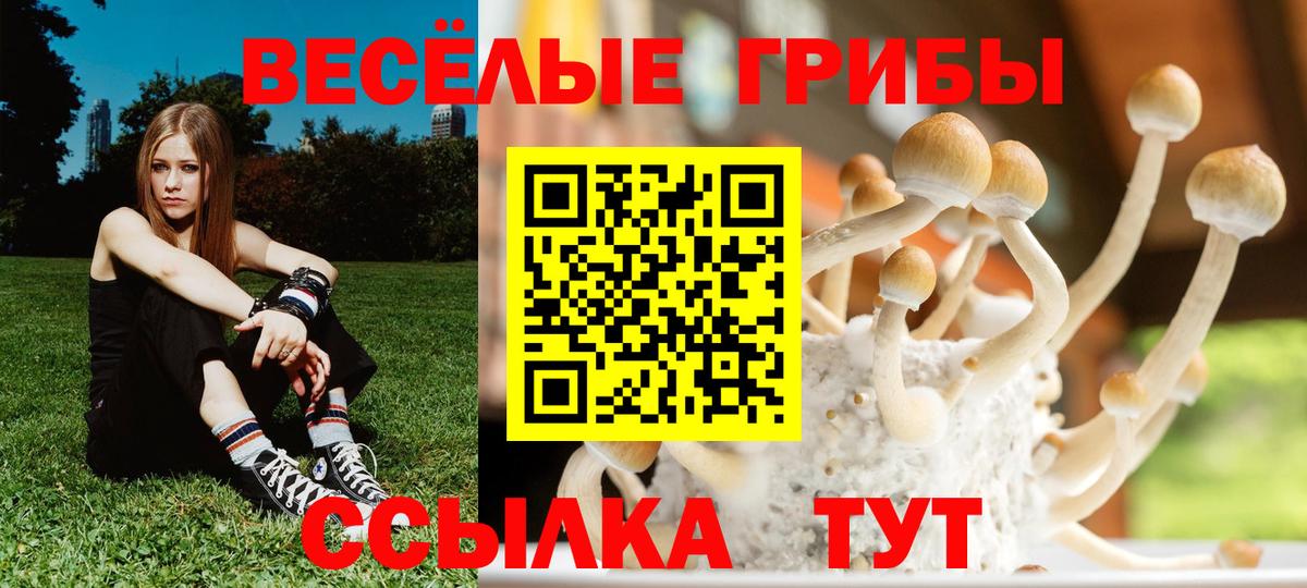 Галлюциногенные грибы GOLDEN TEACHER  Галлюциногенные грибы Psilocybine cubensis  Вход с VPN  наркота  Зима 
